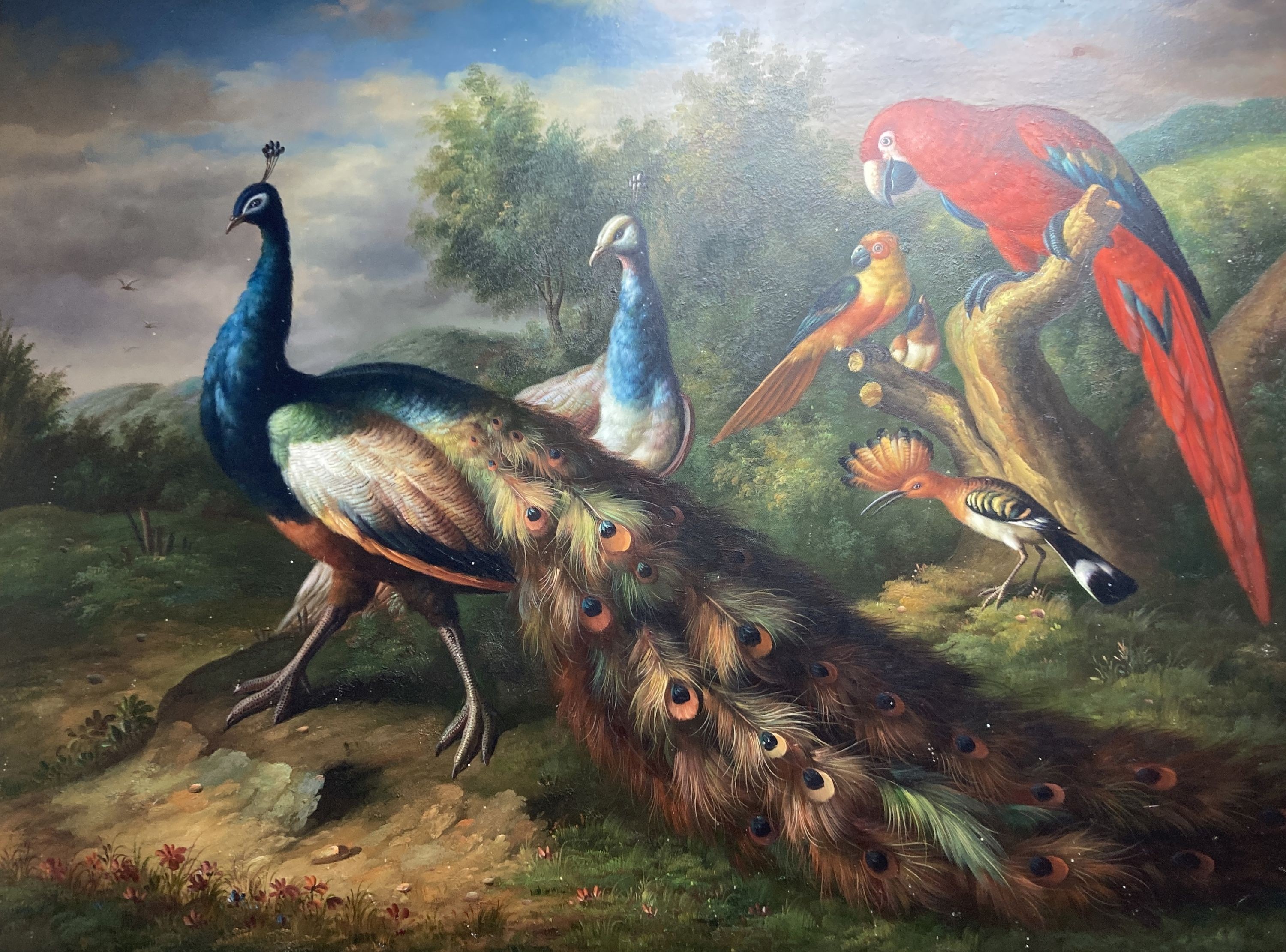 After Melchoir d'Hondecoeter, oil on canvas, Peacock and other exotic birds, 76 x 102cm, unframed